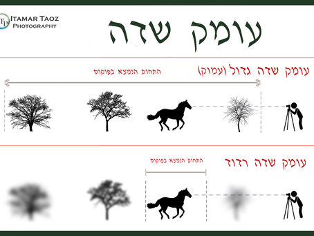 עומק שדה