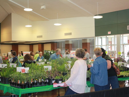 Master Gardener Plant Sale-Garden to Go!