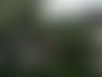 Me? A Master Gardener?