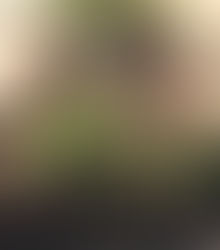 Your Thumb Isn't Brown