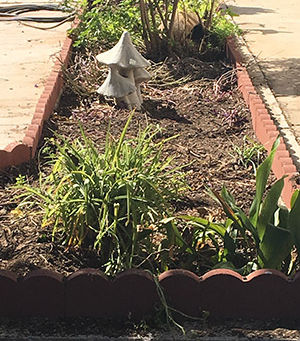 Your Thumb Isn't Brown