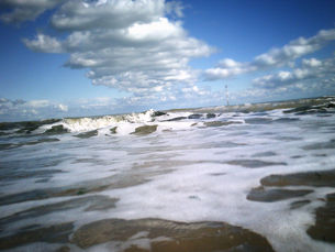 Shoreline