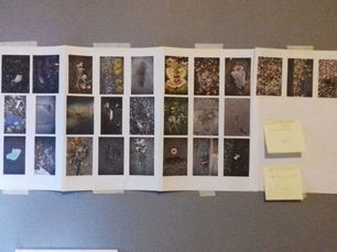 Initial Work in Progress Images