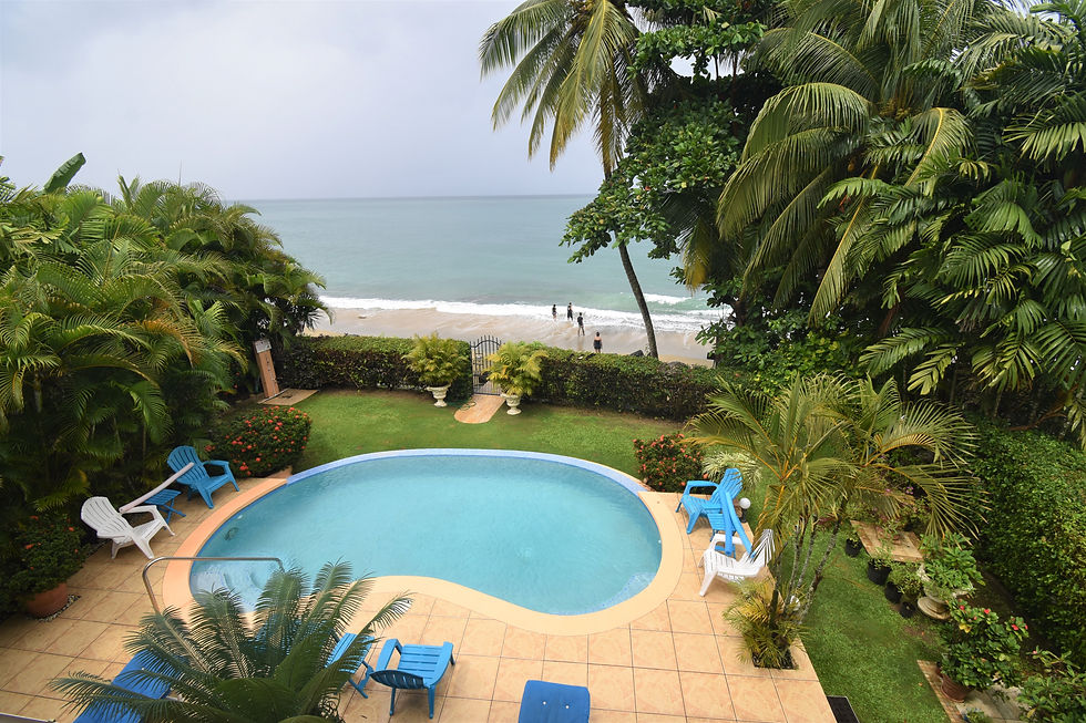 View from Patio
