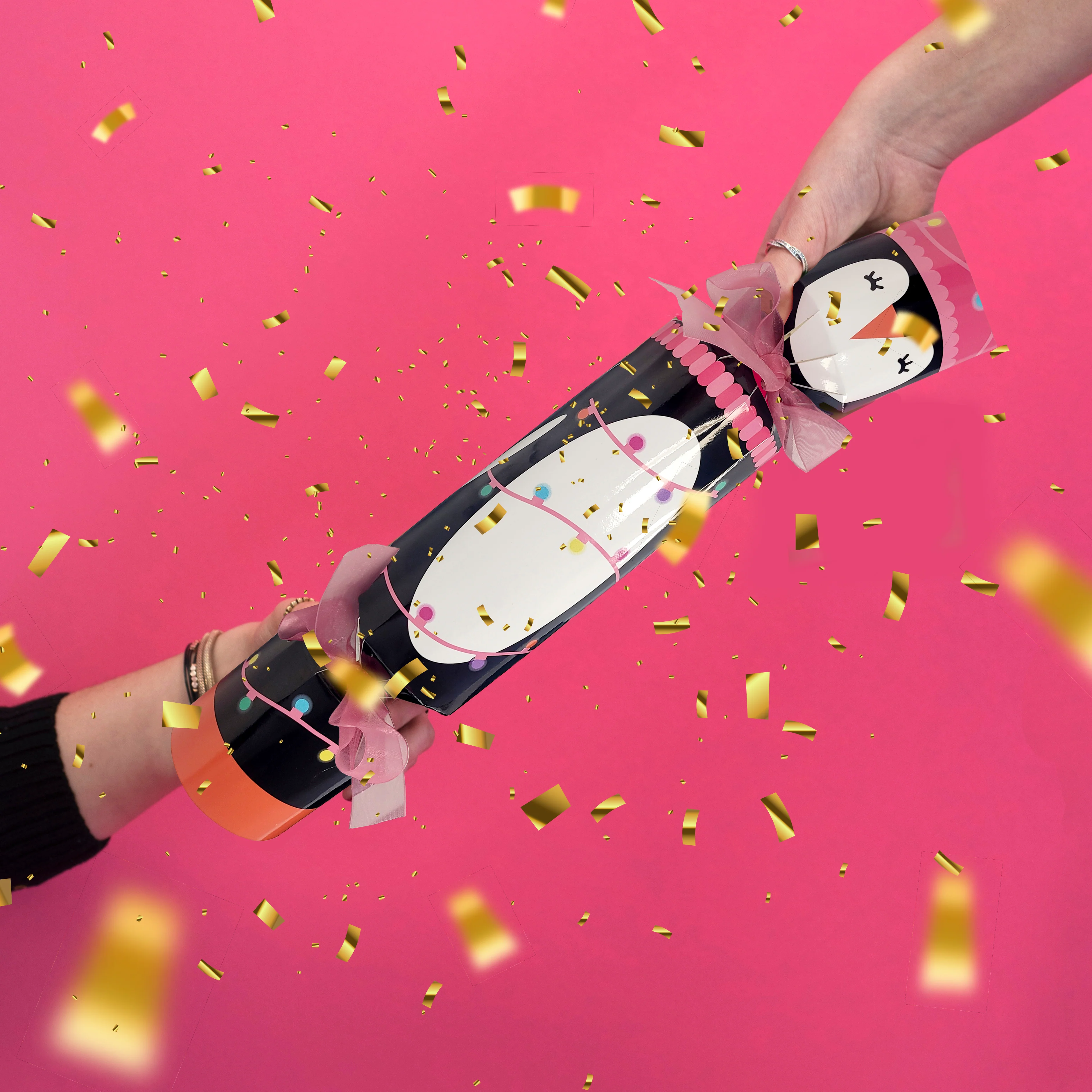 PenguinCracker.webp