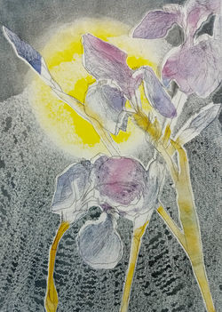 Monotype 20 cm x 30 cm