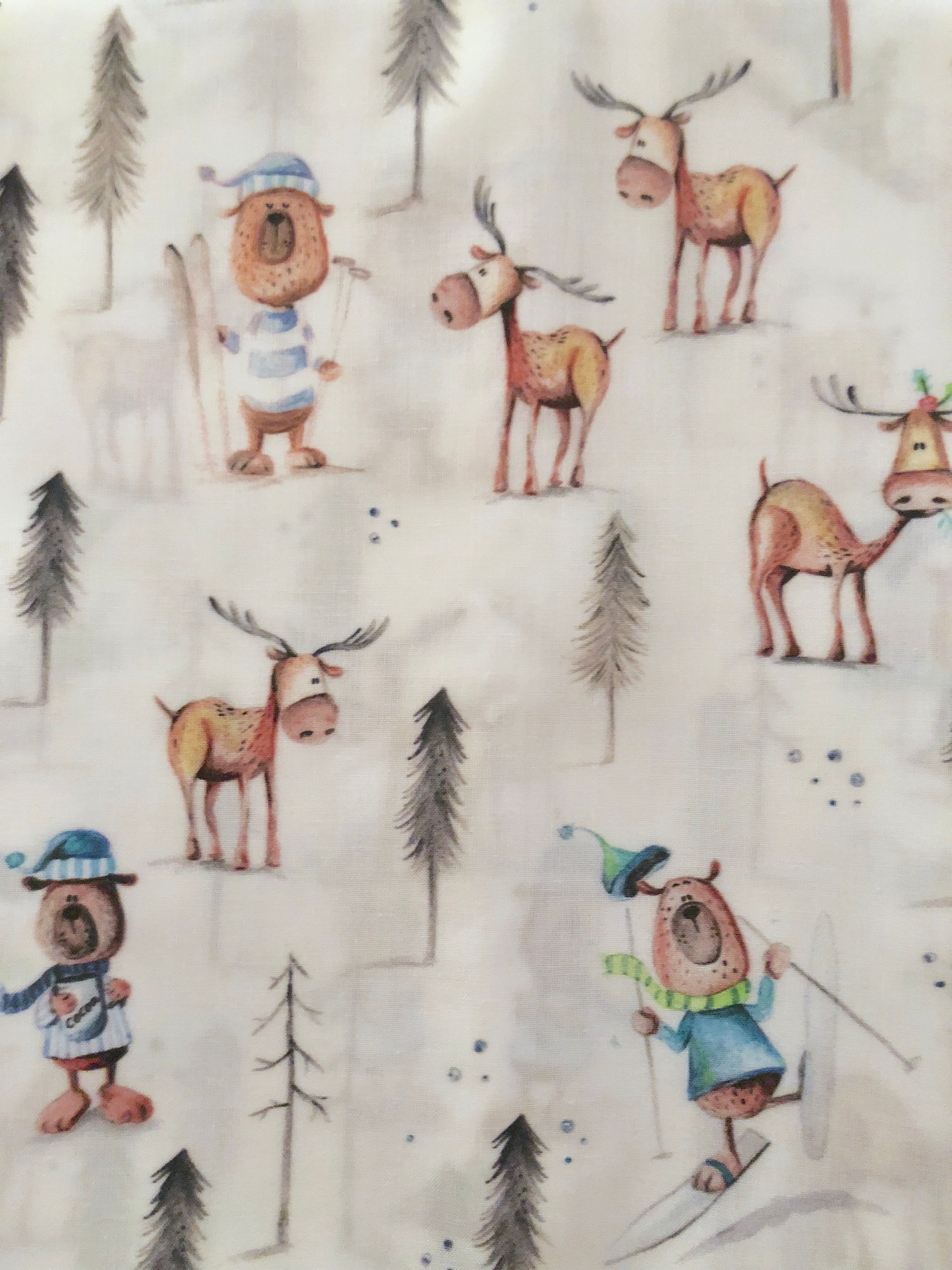 Ranita Diego osos esquiando