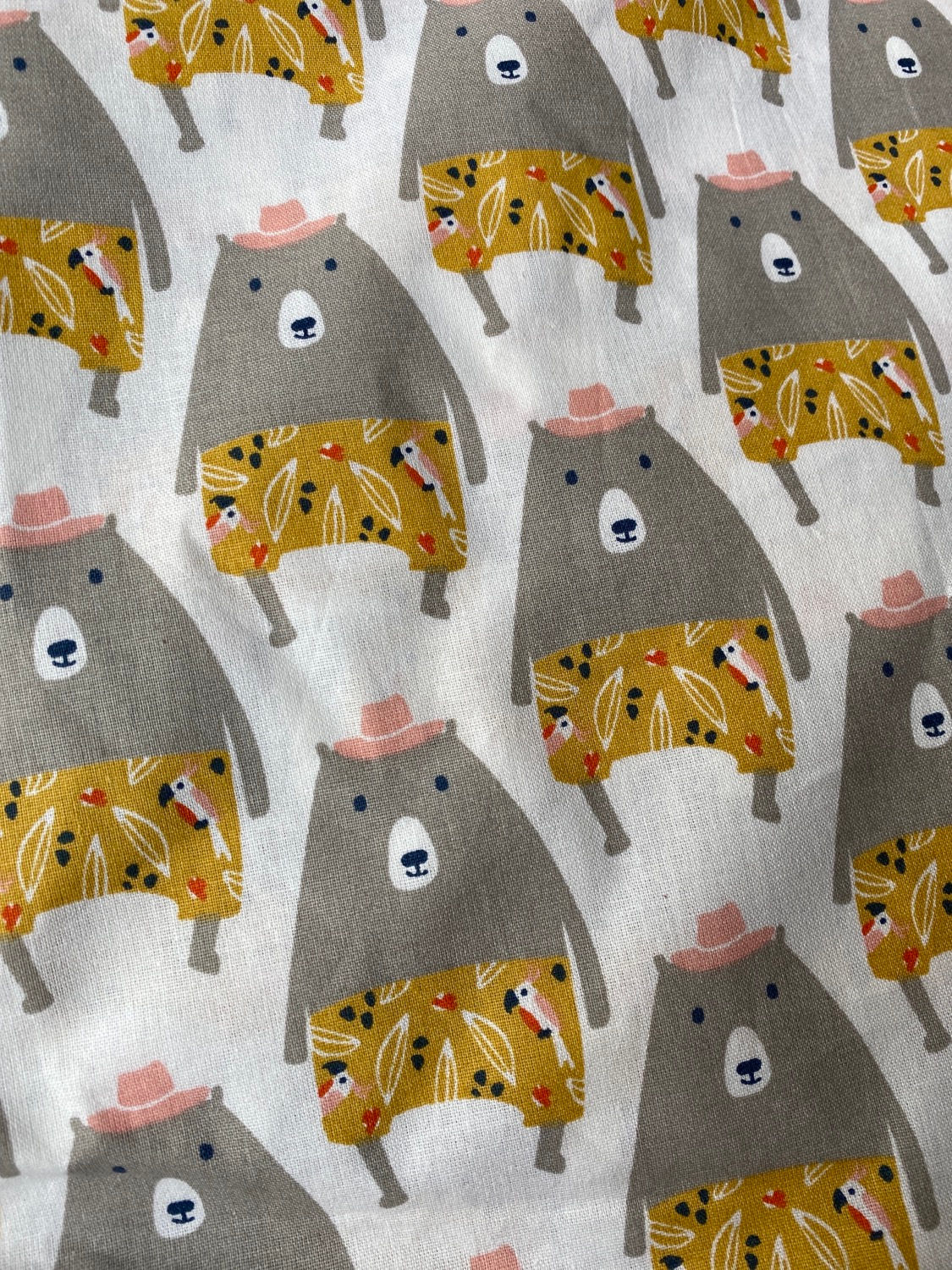 Ranita Diego osos veraniegos