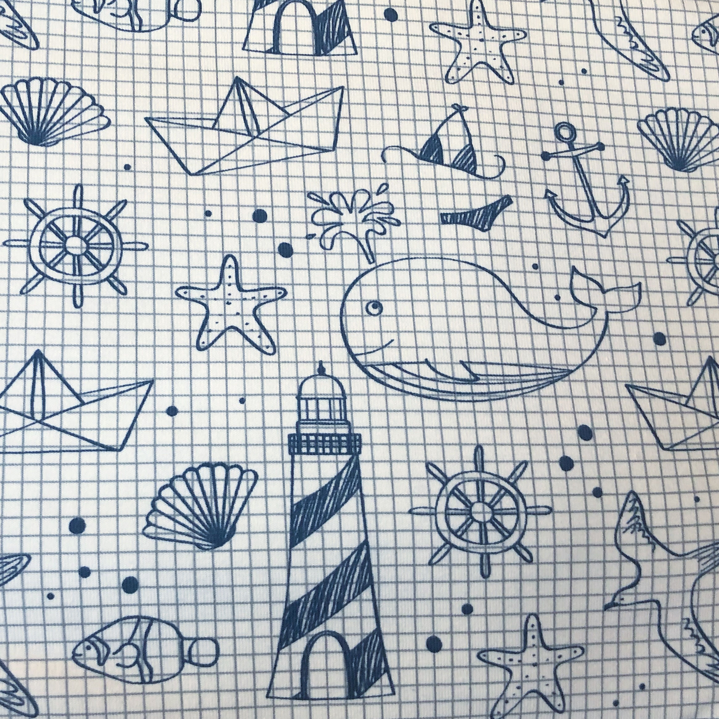 Ranita Diego cuaderno marinero