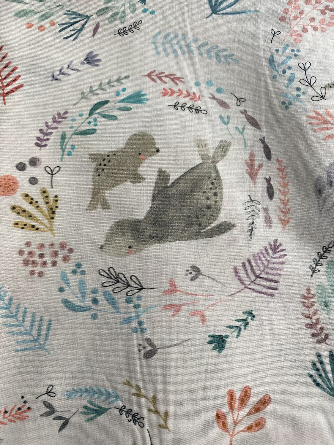 Ranita diego focas y flores