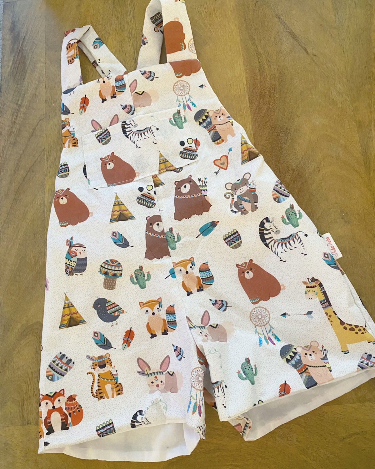 Ranita Diego animales indios 