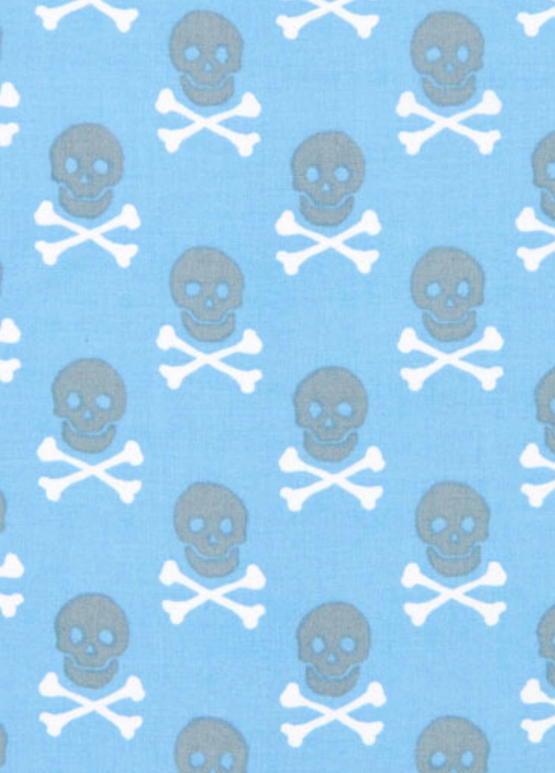 Ranita Santi calaveras fondo azul claro