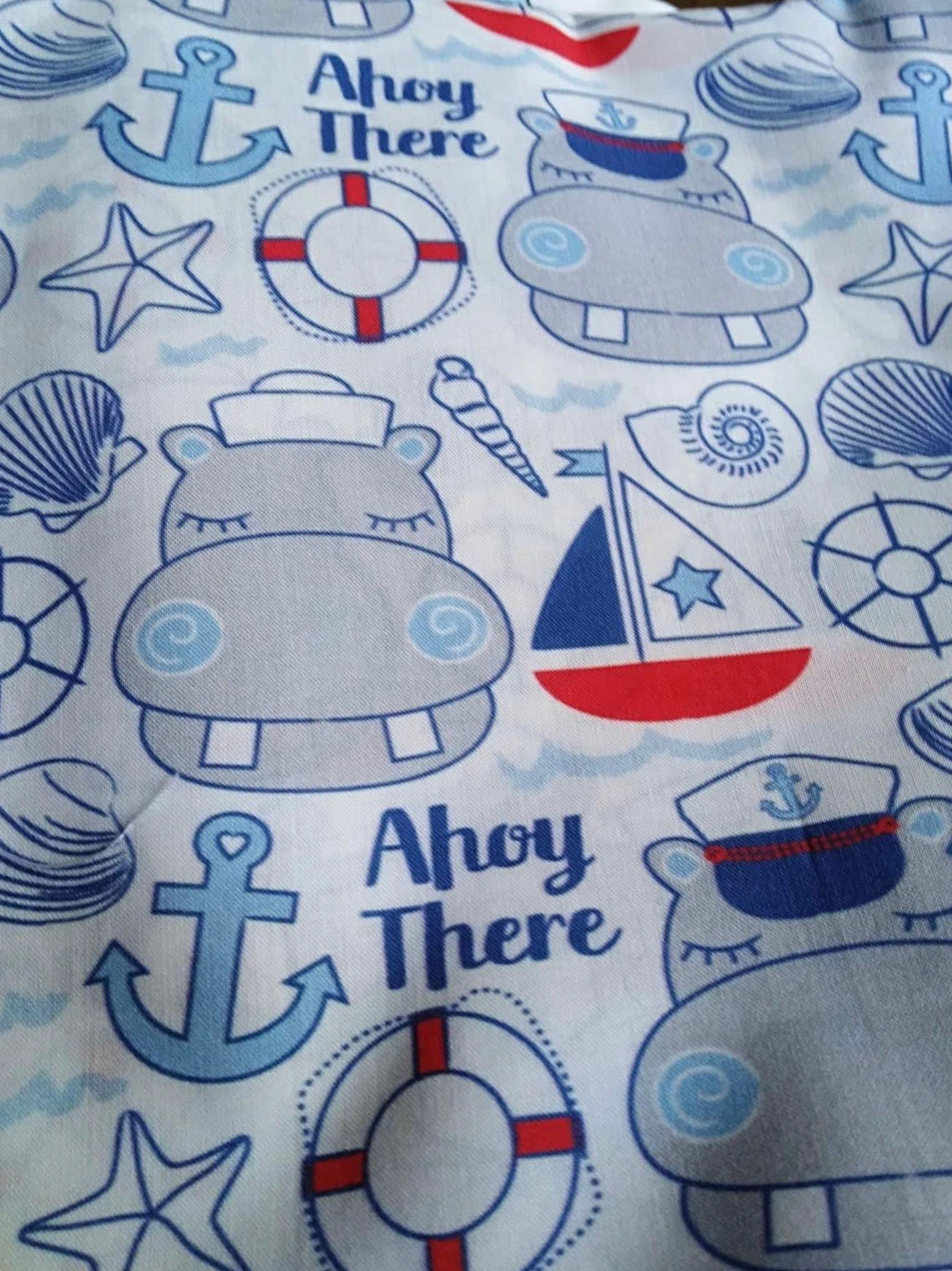 Ranita Diego hipopótamos marineros 