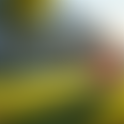 How to Sell Your Home Quickly with Wholesale Buyers