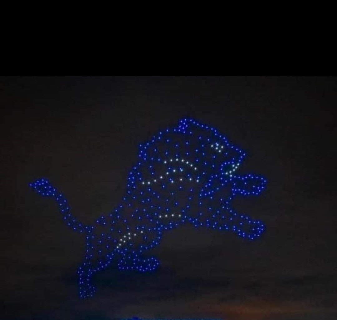 2024 Fireworks/Drone Show Otsego Lake Associat