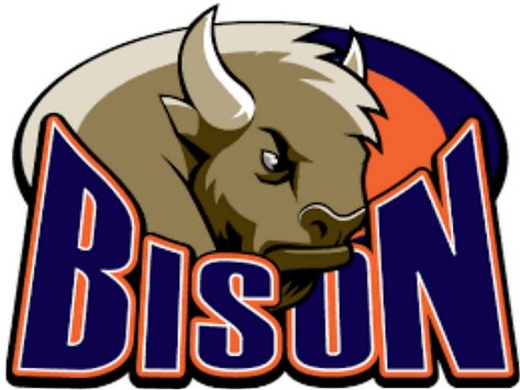 Please Take our BG BISON Athletics SURVEY!
