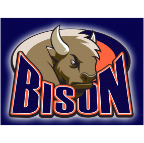 bison.jpeg