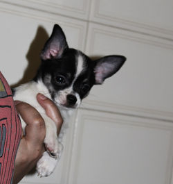 Marie/ Ana Paula - SP