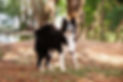 IMG_1785.jpeg