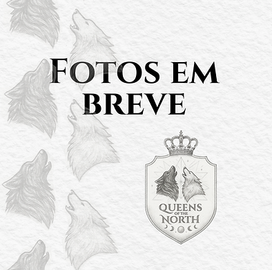 Copy of ARTES - FEED (Story).png