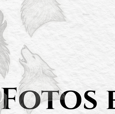 Copy of ARTES - FEED (Story).png