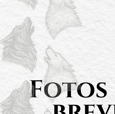 Copy of ARTES - FEED (Story).png