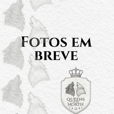 Copy of ARTES - FEED (Story).png