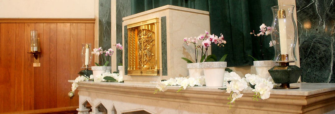 tabernacle-orchids-h.JPG