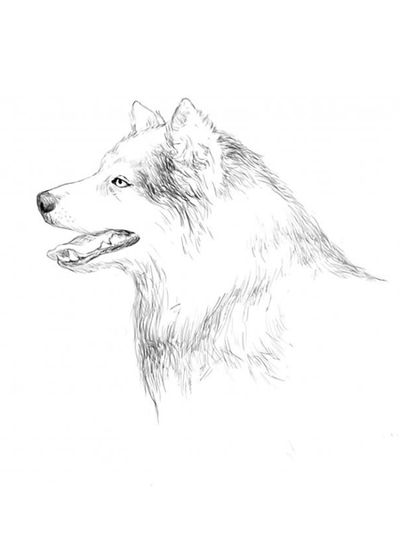 Cópia de YaKutiaN LaiKa.png