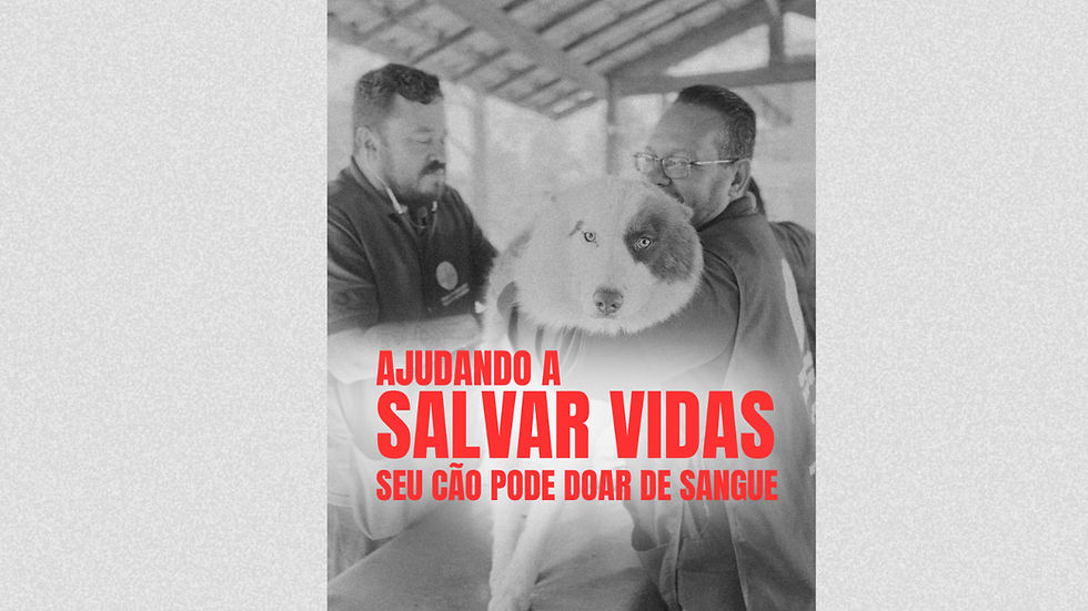 Ajudando a salvar vidas
