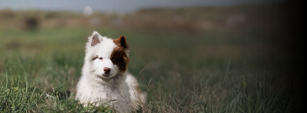 Orange and Gray Modern Content Ideas Instagram Carousel Post (1080 x 600 px).png