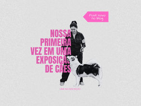 Nossa primeira vez em uma exposição de cães