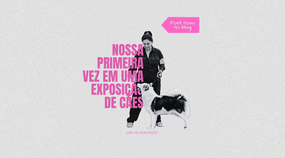 Nossa primeira vez em uma exposição de cães