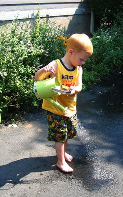 P16.jpg