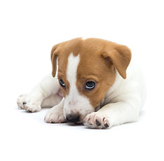 AdobeStock_320764499 (1).jpeg