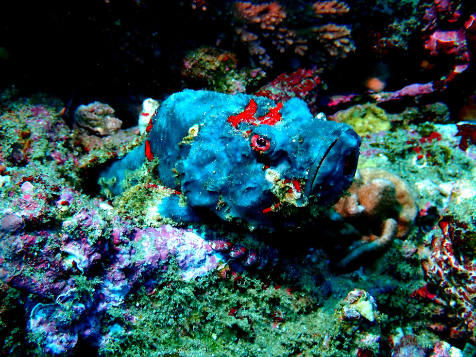 P6140043_edit_124111516252602