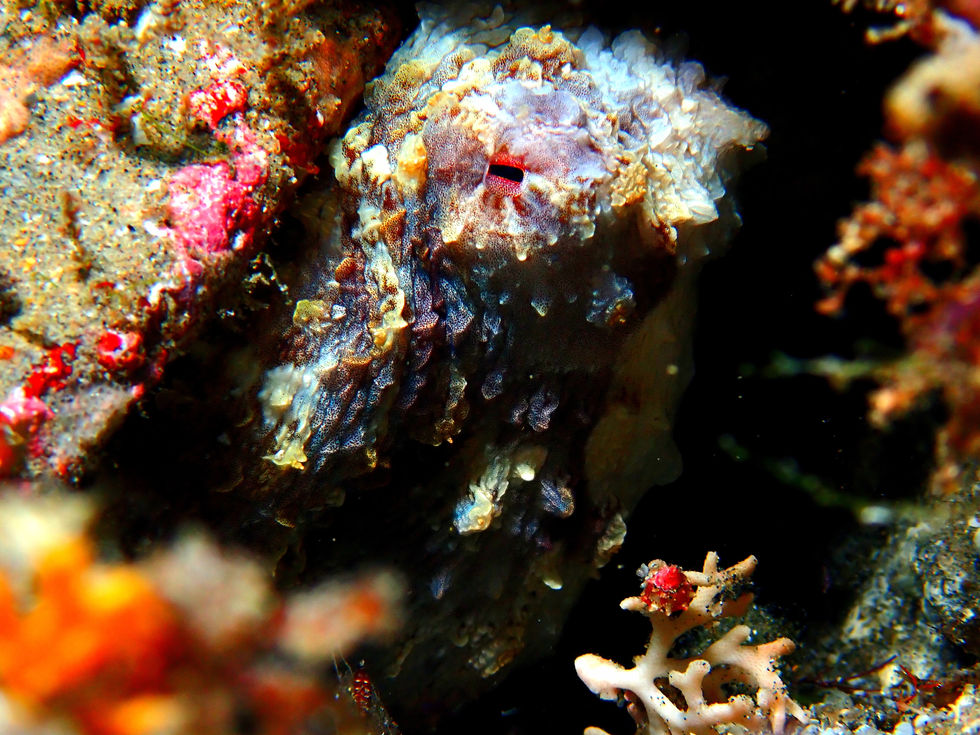 PB190941_edit_43746959725445