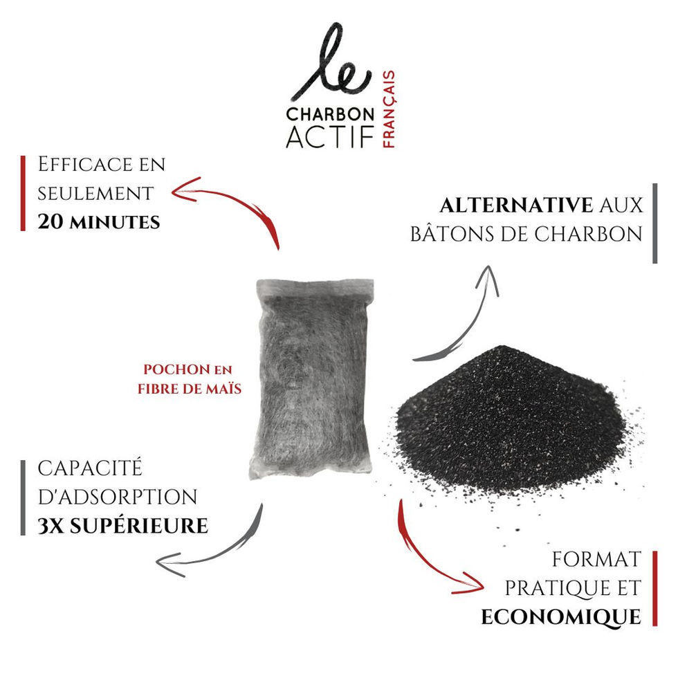 Propriétés du charbon actif végétal