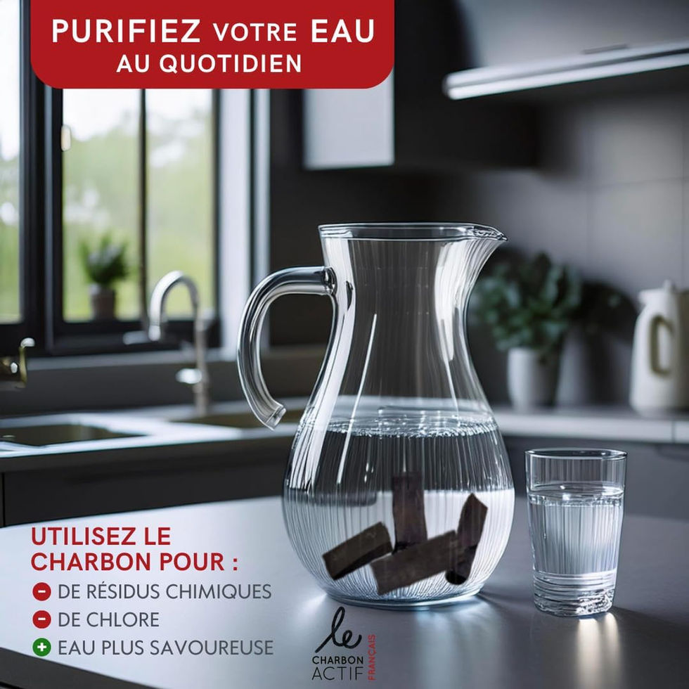 Carafe en verre avec un bâton de charbon actif à l'intérieur
