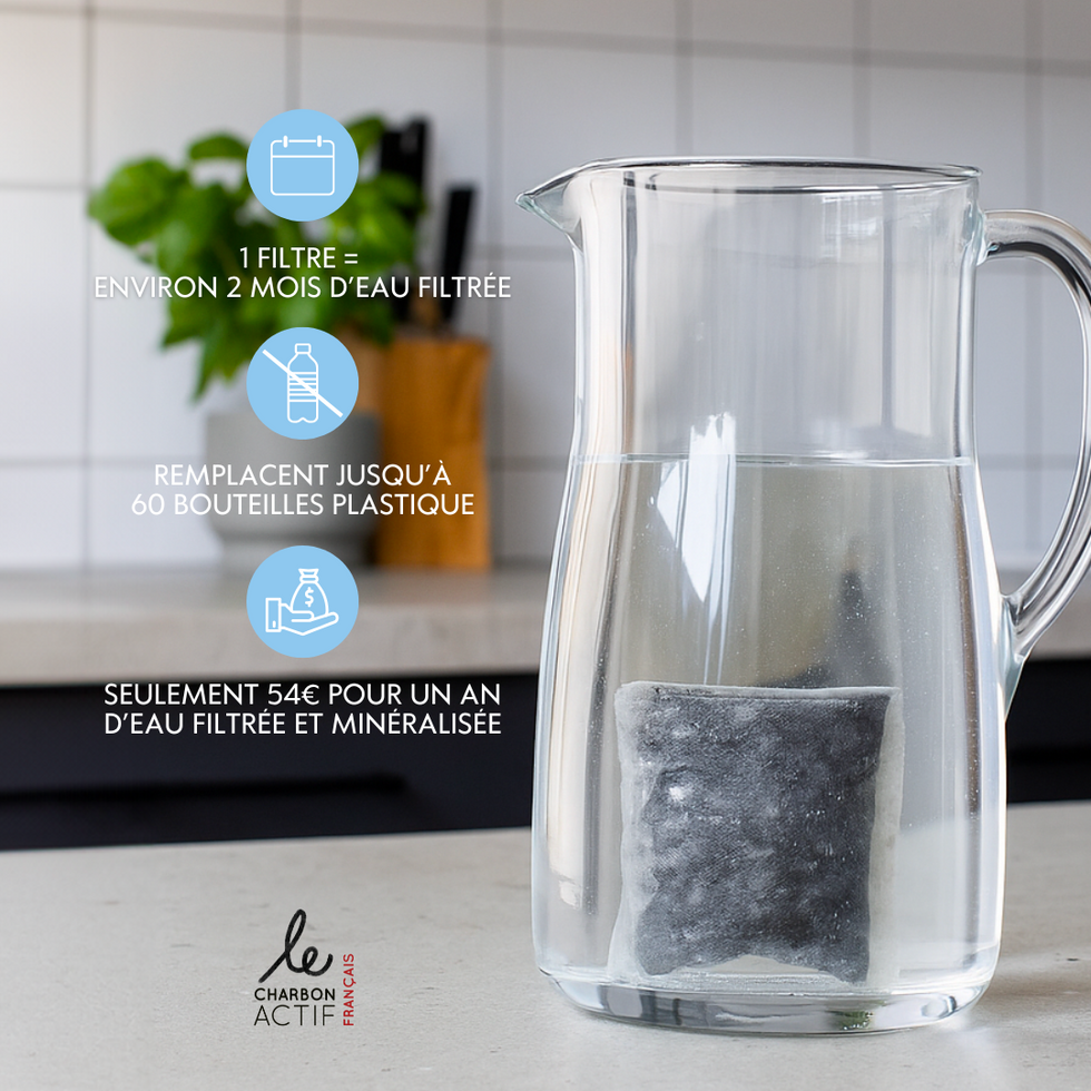 filtre duo filtrant et minéralisant dans une carafe d'eau du robinet
