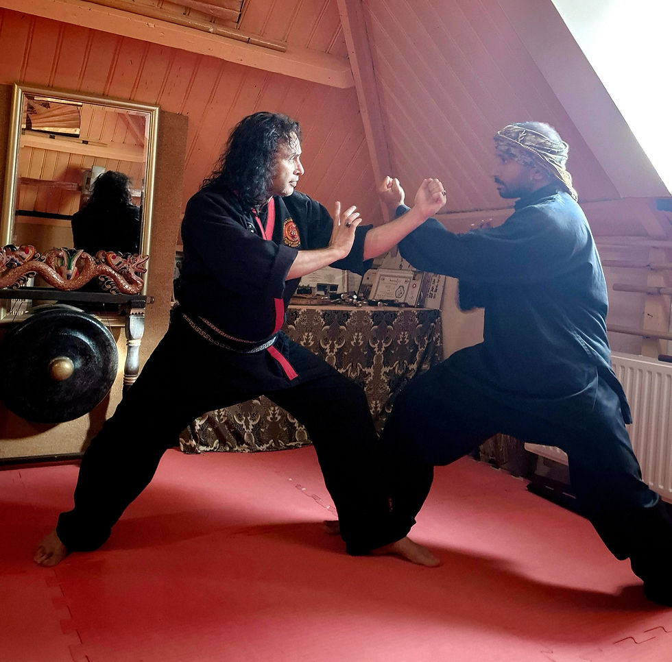 The Old School, prive training van meester Stephen Ghazi - Rotterdam