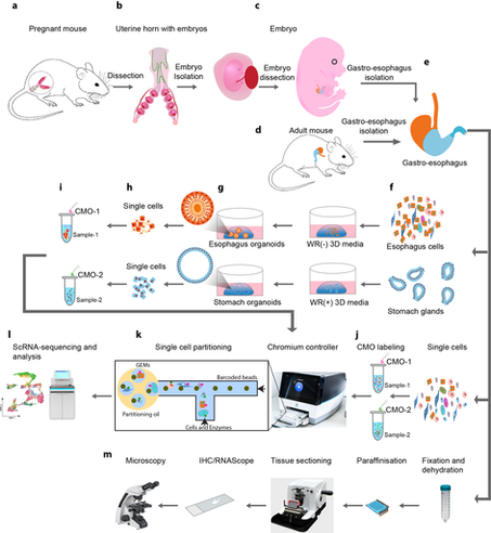 New Publication from Our Group.