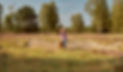 Tierkommunikation_Akademie_Brandt_Hanisch_edited_edited.jpg