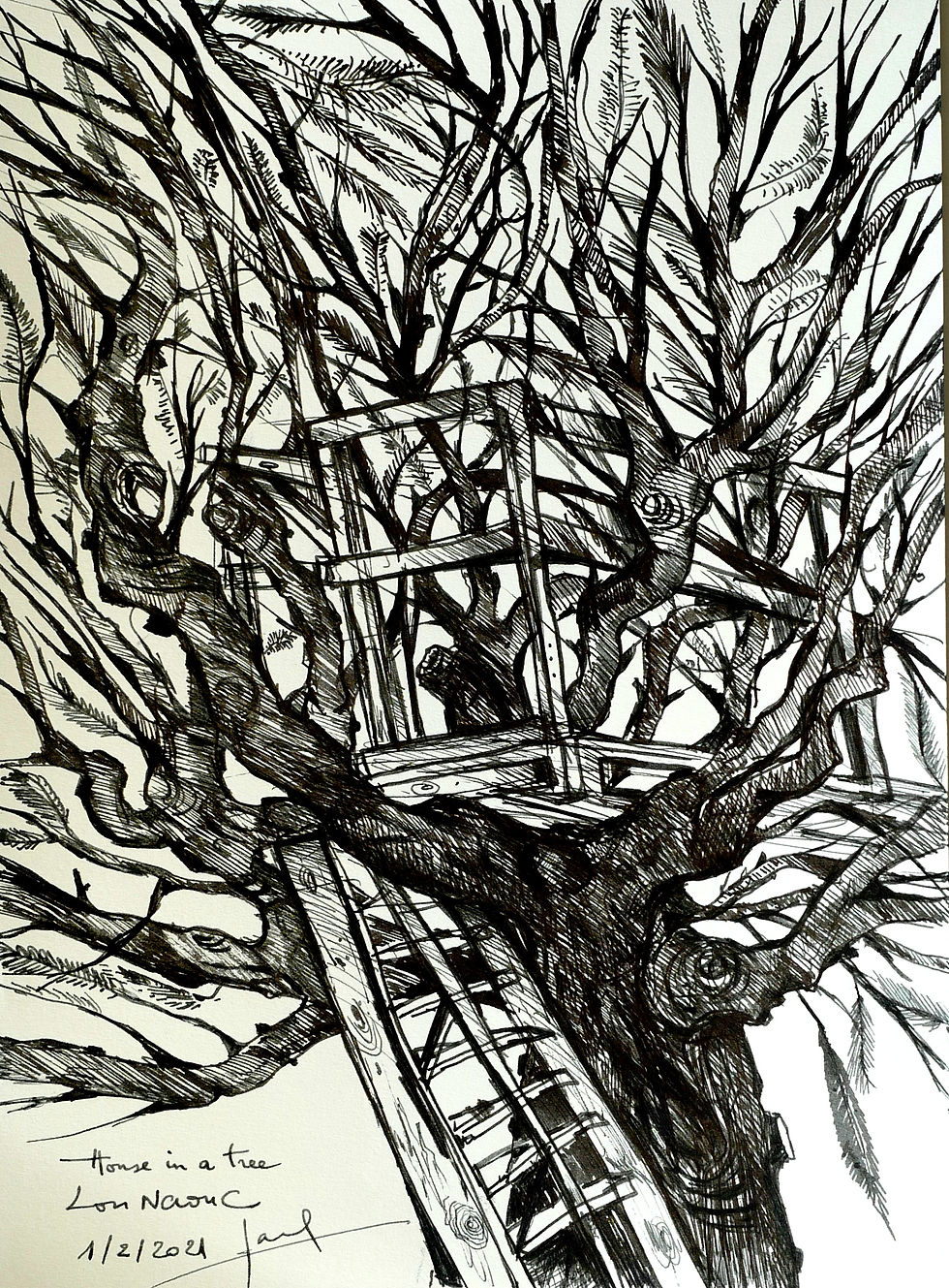 House in a Tree - Grasse 2021