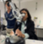 Dr Neena H Bhalodiya upskilling herself at the International Surgical Center for Cochlear Implant Su