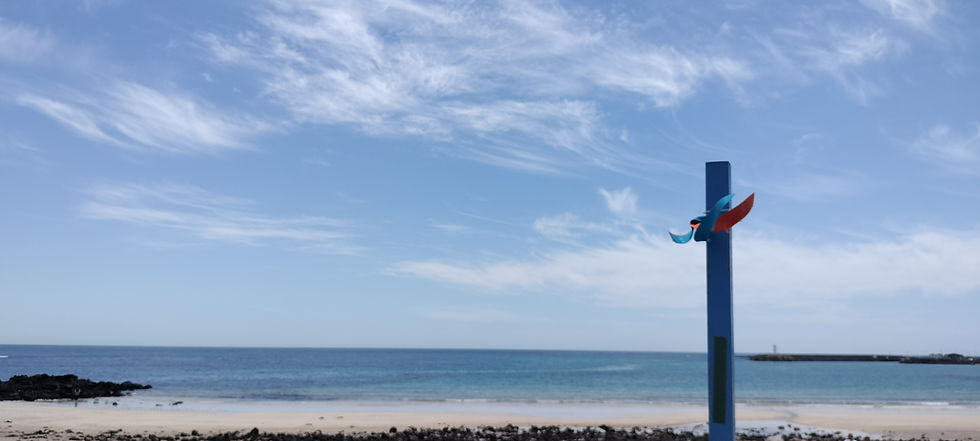 One Month in Jeju Island, South Korea