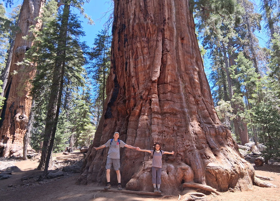 Sequoia National Park — Photo Diary