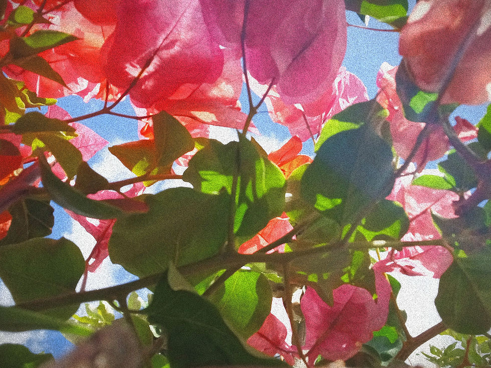 Resized_Resized_20221121_092516_edited_edited.jpg