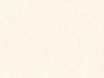 elevoque_paper_texture (1).jpg