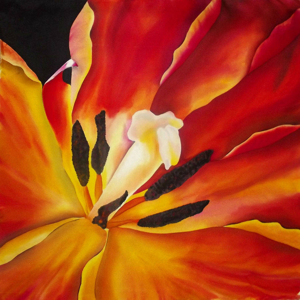 Orange Tulip 2